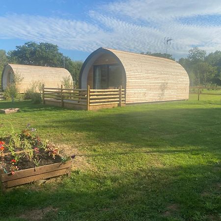 Beech Pod Cabin In Beautiful Surroundings Рексем Екстер'єр фото