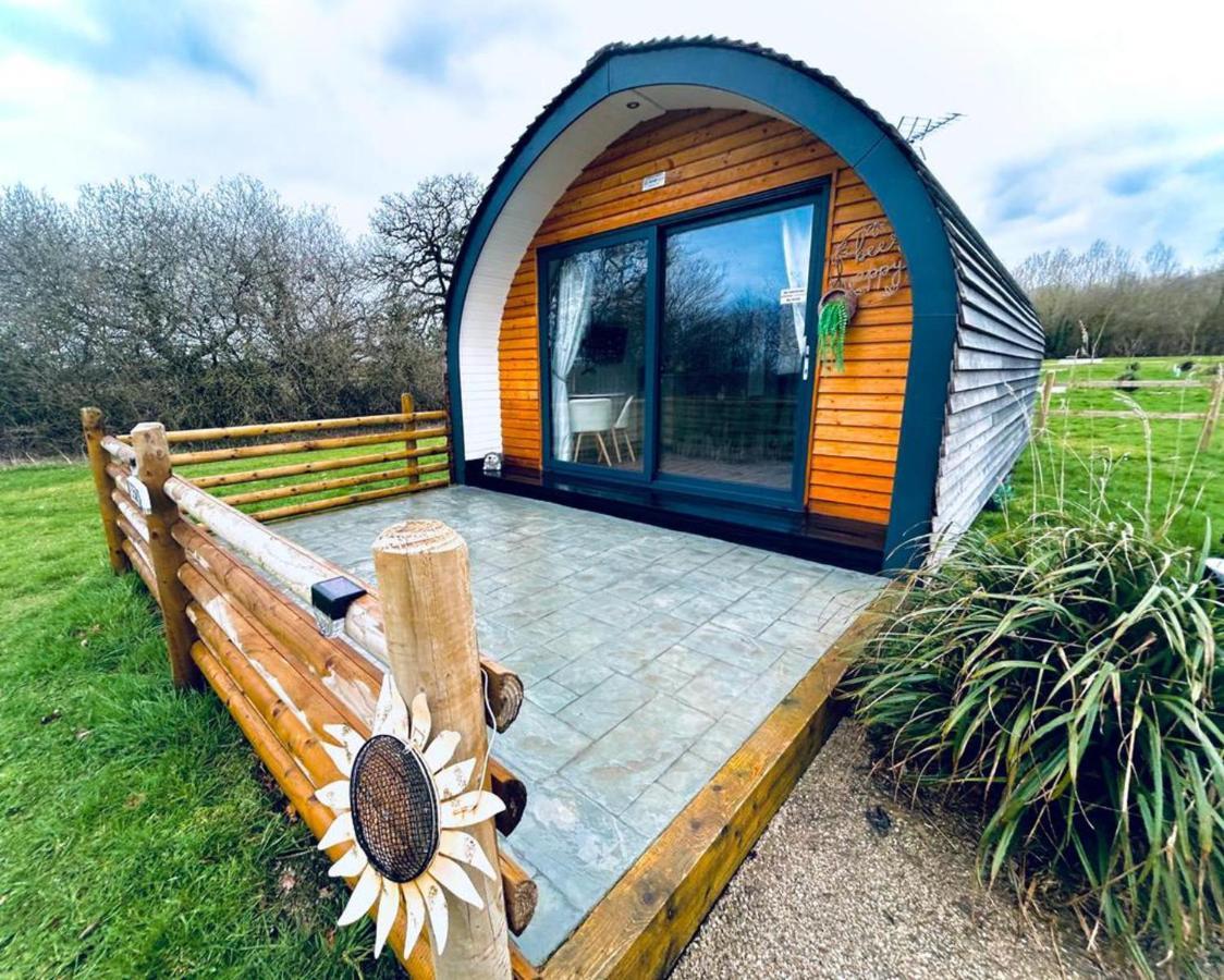 Beech Pod Cabin In Beautiful Surroundings Рексем Екстер'єр фото