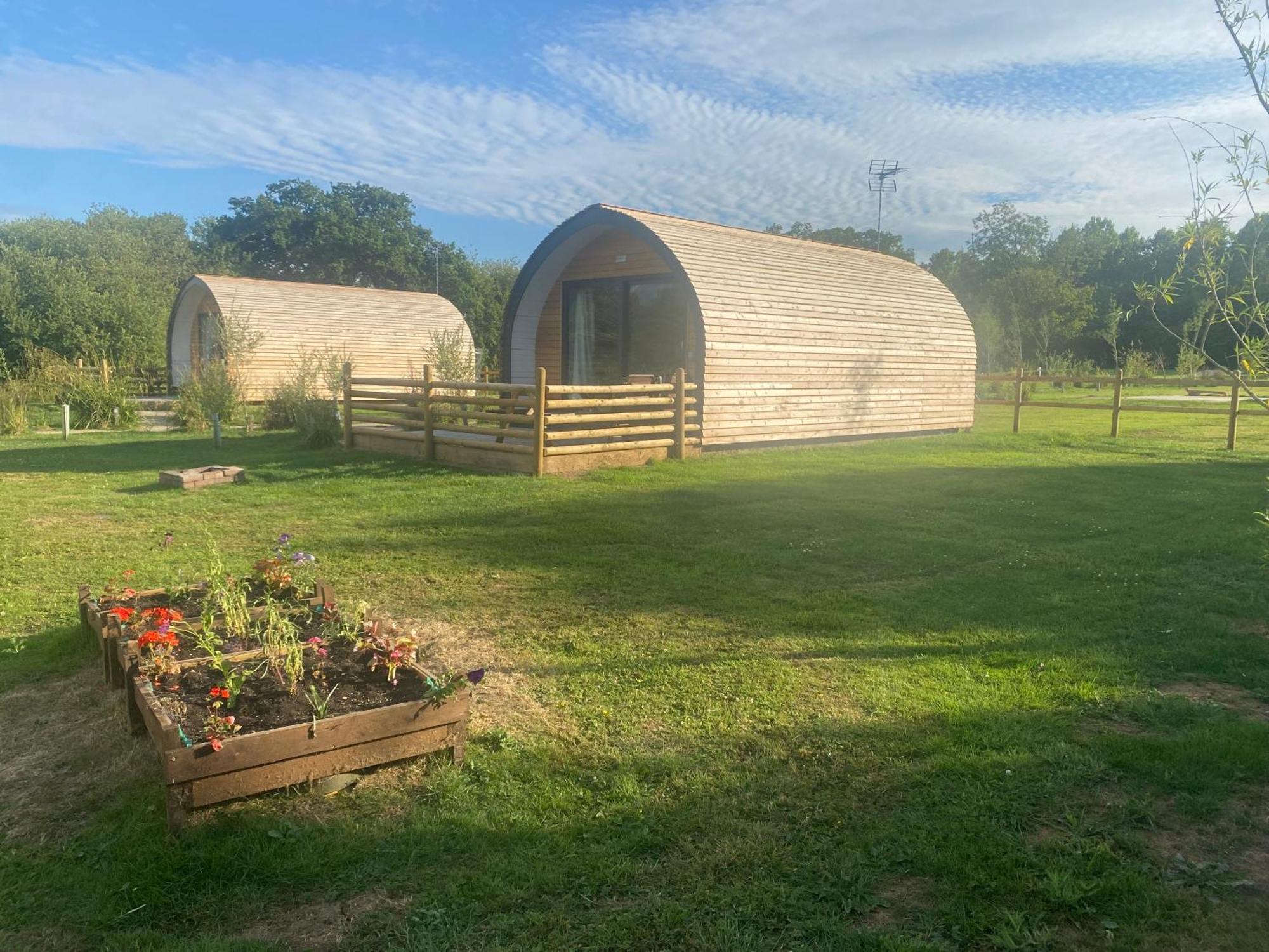 Beech Pod Cabin In Beautiful Surroundings Рексем Екстер'єр фото